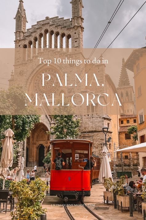 Things To Do In Palma De Mallorca Spain, Things To Do In Palma De Mallorca, Mallorca Things To Do, Things To Do In Mallorca Spain, Palma Mallorca Spain, Palma De Mallorca Photo Ideas, Mallorca Travel Guide, Majorca Palma, Palmanova Mallorca