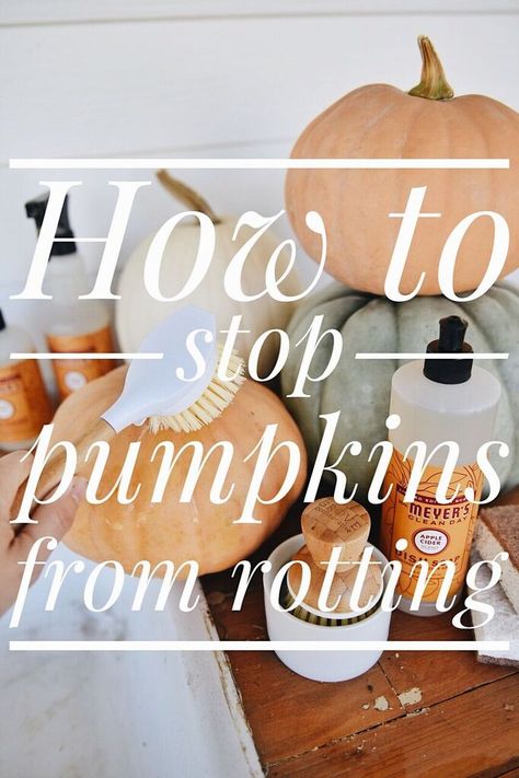 , How To Stop Pumpkins From Rotting Meyers Cleaning Products, Liz Marie, Pumpkin Display, Liz Marie Blog, The Mitten, Seasonal Candles, Fall Arrangements, Grand Rapids Michigan, Autumn Crafts