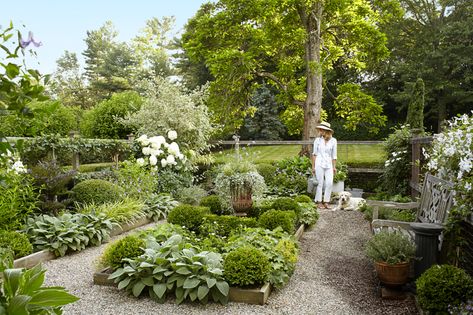 Whealon Connecticut Garden Connecticut Farmhouse, Boxwood Landscaping, Courtyard Plants, Hornbeam Hedge, Home Garden Ideas, Boxwood Garden, Hillside Garden, California Garden, Potager Garden