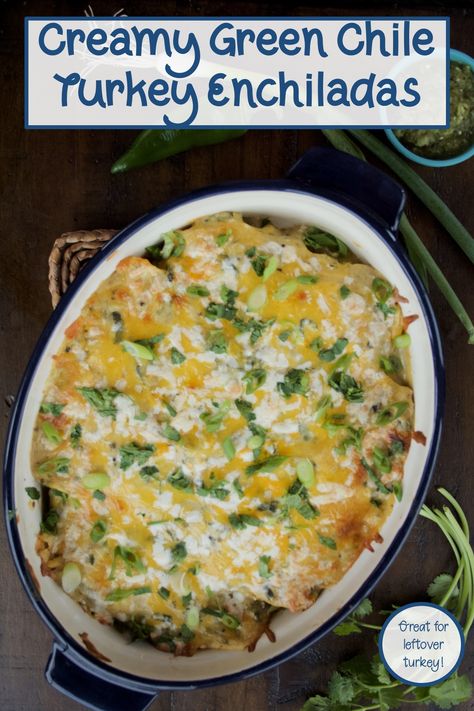 Creamy Turkey Enchiladas, Turkey Enchiladas Green Sauce, Green Chili Turkey Enchiladas, Green Turkey Enchiladas, White Enchiladas Recipe, Enchiladas Crockpot, Creamy Green Sauce, Turkey Enchilada Casserole, Ground Turkey Enchiladas