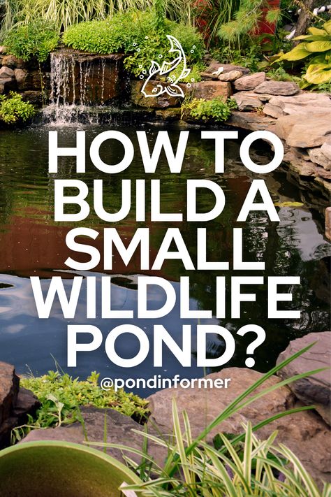 Transform your space into a haven for wildlife with this easy and affordable DIY pond project! Explore step-by-step instructions and budget-friendly tips to create a small pond that attracts butterflies, frogs, and more. Embrace the beauty of nature in your backyard without breaking the bank! #DIYPond #WildlifeHaven #BudgetFriendlyGarden #GardenTips #Pond #Cheap #Easy Pond Diy Ideas, Small Garden Ponds Ideas Landscaping, Natural Garden Pond Ideas, Easy Ponds Diy, Diy Backyard Pond Easy, Plastic Pond Ideas, How To Build A Pond, Building A Pond Diy, Make A Pond