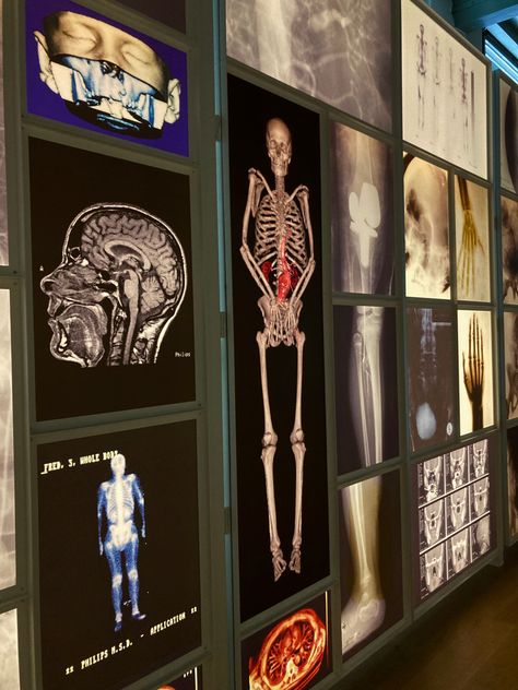 Human body art museum aesthetic Human Body Aesthetic Poster, Evolutionary Biology Aesthetic, Human Science Aesthetic, Experiment Aesthetic Human, Sports Science Aesthetic, Sport Science Aesthetic, Human Experiment Art, Health Science Aesthetic, Physician Aesthetic