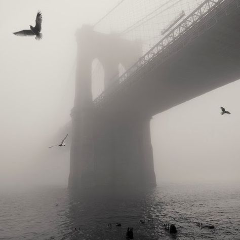 About Photography: Fog, the Brooklyn Bridge, an X-Pro1, and platinum printing Full Frame Camera, Foggy Morning, Neo Noir, Camera Equipment, Full Frame, Leica, Brooklyn Bridge, Professional Photographer, Street Photography