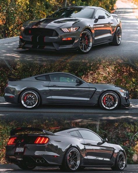 Blacked Out Cars, Mustang Shelby Cobra, Ford Mustang Classic, Luxury Cars Audi, Mustang Gt500, Ford Mustang Car, Top Luxury Cars, Mustang Cobra, Toyota 4x4