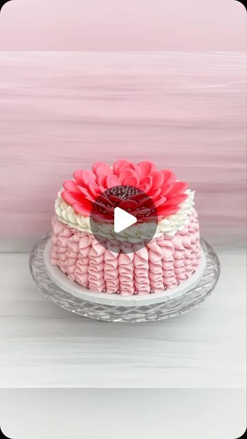 Amy Holland Droubay on Instagram: "Grocery Store Cake Makeover" Grocery Store Cake Makeover Diy, Grocery Store Cake Designs, Grocery Store Frosting, Redecorate Store Bought Cake, Store Cake Makeover, Grocery Store Cake Makeover, Grocery Store Cake, Cake Makeover, Makeover Videos