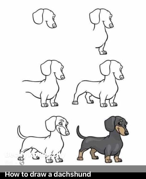 Christmas Murals, Dachshund Sketch, Dachshund Drawing, Dachshund Cartoon, 4 Dimension, Dachshund Illustration, Watercolour Drawings, Pencil Drawing Tutorials, Dachshund Art