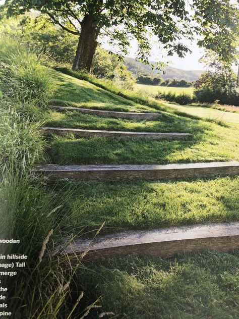 Inclined Landscape Design, Grass Stairs Landscaping, Natural Steps, Landscape Stairs, Garden Stairs, Garden Steps, Garden Park, Home Landscaping, Garden Landscape Design