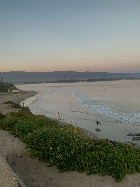 beach, surfers, pretty Diff Boards Diff Aesthetic, Seren Core Aesthetic, Bri Core Aesthetic, Sydney Core Aesthetic, Ucsb College Aesthetic, Ola Core, Ucsb Aesthetic, Beach Core Aesthetic, Sydney + Core + Aesthetic