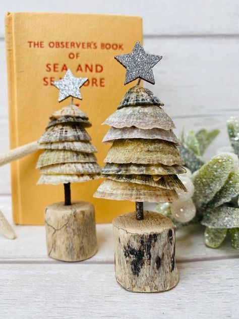 Driftwood Ornaments, Christmas Driftwood, Driftwood Houses, Driftwood Art Diy, Business Network, Christmas Tree Set, Driftwood Crafts, Shell Decor, Beach Christmas