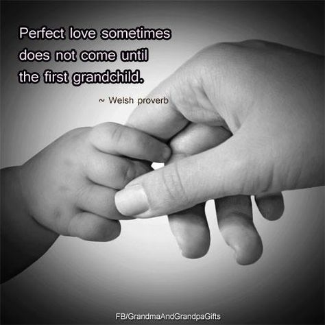 Grandson Quotes, Godfather Quotes, Granddaughter Quotes, Quotes About Grandchildren, Grandmother Quotes, Grandparents Quotes, True Feelings Quotes, New Grandparents, Congratulations Baby