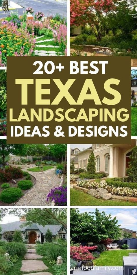 20+ Best Texas Backyard Landscaping Ideas & Designs (With Pictures) Rock Front Yard Ideas, Texas Front Landscaping Ideas, Desert Front Yard Ideas, Garden Design Texas, Xeriscape Backyard Texas, Front Yard Xeriscape Ideas Texas, Landscape Texas Front Yard, Texas Cactus Garden, Houston Backyard Landscaping