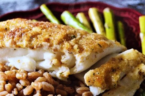 Mayonnaise, Lemon, Thyme, Garlic, and Parmesan Crusted Halibut Parmesan Halibut, Halibut Recipes Baked, Baked Halibut, Board Recipes, Healthy Cheese, Halibut Recipes, Food Crush, Lemon Herb, Mousse Recipes