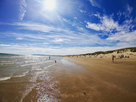 5 Reasons Camber Sands is One of the Best Beaches in the UK - Beside The Sea Holidays Camber Sands, Uk Beaches, Dog Friendly Beach, South Downs, Wildlife Reserve, Golden Beach, Seaside Getaway, Best Beaches, Coastal Towns