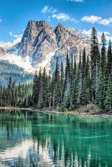 If you're looking for a breathtaking hike that will take your breath away, Emerald Peak in Yoho National Park is the perfect option. At 8,862 feet above sea level, it's not one of the tallest peaks in the area, but what it lacks in height it makes up for in beauty. With its sweeping vistas of the surrounding valleys and lakes, this 7.2-mile trail is definitely worth the effort. 📸: Vrevor Mckinnon Yoho National Park Canada, Best Nature Wallpapers, Yoho National Park, Nature Hd, Scenic Photos, Mountain River, Beautiful Locations Nature, Banff National Park, Alam Yang Indah