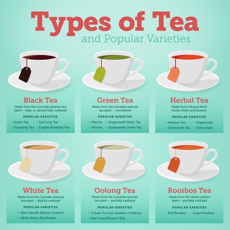 The 6 Different Types of Tea Explained | WebstaurantStore Tea Infographic, Types Of Teas, Kinds Of Tea, Tea Types, Tampax Pearl, Tea Facts, Teas Recipes, Tea Remedies, Different Types Of Tea