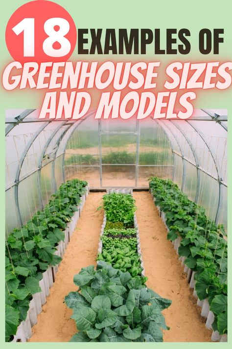 Diy Greenhouse Cheap, Unique Greenhouse, Big Greenhouse, Green House Ideas, Greenhouse Build, Diy Greenhouses, Dream Greenhouse, Greenhouse Kits For Sale, Homemade Greenhouse