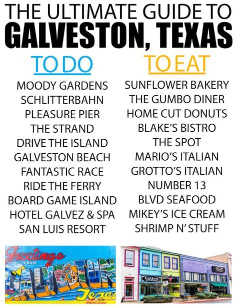 Next time you’re planning one of the cruises out of Galveston, book a day or two to try out one of these awesome things to do in Galveston, TX! There’s more to do than just go on cruises from Galveston! Galveston Texas Vacation, Galveston Texas Beach, Texas Getaways, Trip Hacks, Texas Vacation, Texas Trip, Galveston Beach, Moody Gardens, Texas Beaches