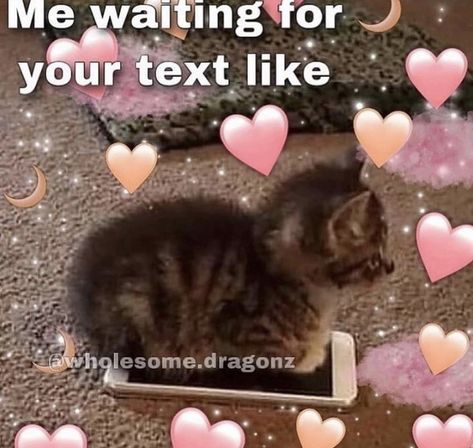 Text Message Meme, Cute Messages For Him, Good Times Quotes, Happy Memes, Memes Cute, Couple Memes, Cute Text Quotes, I Wait For You, Just Good Friends