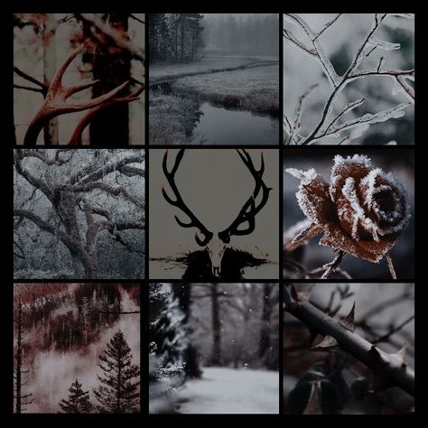 #moodboard #wendigo #scary #paranormal #aestethic #spooky #scary #skeletons Wendigo Scary, Scary Core Aesthetic, Wendigo Aesthetics, Cryptid Moodboard, Skeleton Moodboard, Wendigo Aesthetic, Wendigo Oc, Alastor Aesthetic, Scary Paranormal