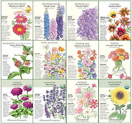 Botanical Interests"Bees, Butterflies, and Hummingbirds" Flower Seed Collection - 12 Packets with Gift Box Botanical Interests, Butterflies And Hummingbirds, Herbal Tea Garden, Milkweed Seeds, Garden Flowers Perennials, Milkweed Plant, Planting Pots, Birds And Butterflies, Lily Bulbs