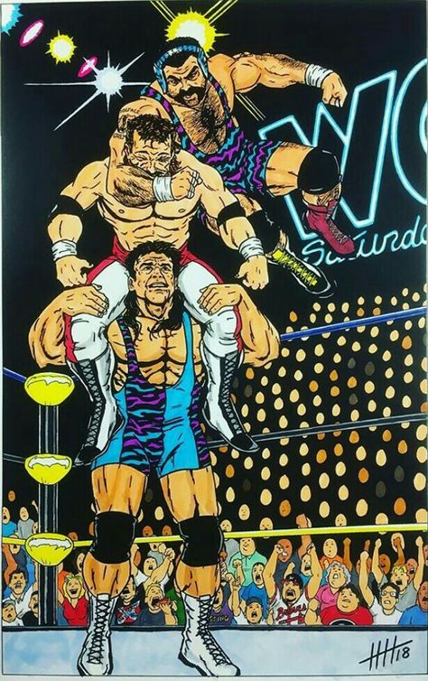 Steiner Bros. Nwo Wrestling, Wwf Poster, Wcw Wrestlers, Wwf Hasbro, Drawing Proportions, World Championship Wrestling, Wrestling Videos, Wrestling Posters, Basketball Posters