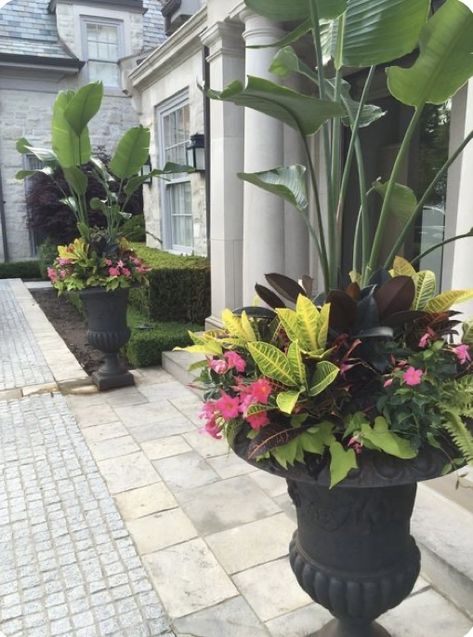 Tropical Planters, Patio Flower Pots, Backyard Resort, Pool Plants, Outdoor Urns, Summer Planter, Porch Plants, Patio Flowers, Porch Flowers