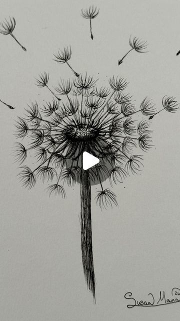 Susan Mann Art on Instagram: "A dream is a wish your heart makes…
#art #artistoninstagram #artoninstagram #artist #dandelion #dandelionclock #dandelions #penandink  #arttherapy #artwork" Dandelion Art, Dandelion Clock, March 17, Art Therapy, A Dream, Pen And Ink, Instagram A, Dandelion, On Instagram