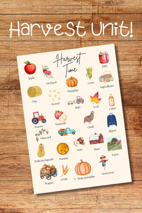 Embrace the harvest season with our Fall Harvest Printable Early Learning Homeschool Unit! Perfect for preschool and homeschool, this engaging digital download features a variety of harvest-themed activities designed to captivate and educate young learners! Harvest Theme Preschool Activities, Preschool Harvest Activities, Preschool Harvest Theme, Harvest Preschool, Preschool Harvest, Harvest Activities, Harvest Theme, Harvest Day, Fall Preschool Activities