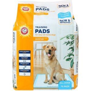 Help keep your home clean during puppy training with Arm & Hammer Puppy Pads w/ Attractant Dog Poppy Pad! These pee pads are made with five layers of absorbent materials that are infused with odor-neutralizing baking soda so your house can stay odor-free. The quilted pattern helps lock in urine and the absorbent polymer gels between the layers make sure nothing spills onto or damages your floors. These pads are paw-fect for house training puppies – just make sure your little rascals don’t ingest Arm And Hammer Baking Soda, Puppy Pads Training, House Training Puppies, Dog Pee Pads, Dog Potty Training, Potty Training Puppy, Dog Pads, Puppy Pads, Dog Pee