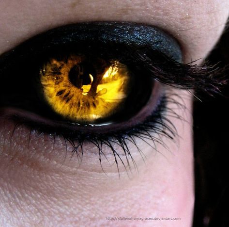 Darker angels have golden eyes surrounded by black Gold Eyes Aesthetic, Orc Barbarian, Black Sclera, Dr Script, Hawke Dragon Age, Eye Color Chart, Eyes Without A Face, Scary Eyes, Eyes Aesthetic