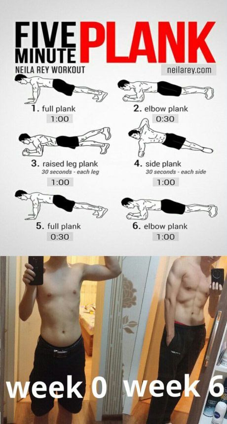 Lichaamsgewicht Training, Fake Post, Latihan Dada, Gym Workout Planner, Latihan Kardio, Gym Workout Chart, Workout Routine For Men, Abs Workout Gym, Abs And Cardio Workout