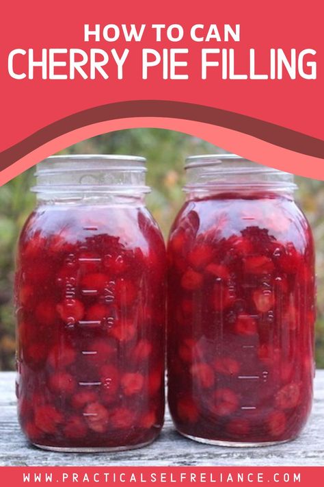 How To Can Pie Filling, How To Can Cherry Pie Filling, Canning Cherry Pie Filling Recipes, Can Cherry Pie Filling Recipes, Canning Cherries Recipes, Canned Pie Filling Recipes, Canned Cherry Pie Filling Recipes, Cherry Recipes Canning, Aerogarden Diy