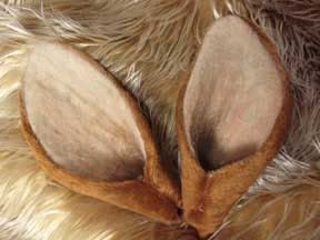 Beetlecat Originals - Mini Tutorial #8 - Ungulate Ears Faun Ears Diy, Deer Ears Diy, Diy Deer Ears, Renfaire Outfit, Fur Projects, Fursuit Inspiration, Narnia Costumes, Lion Ears, Fursuit Ideas