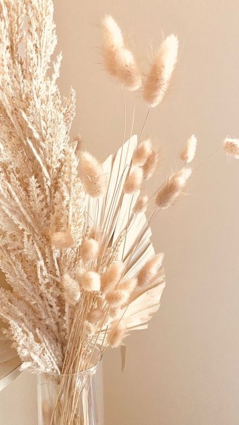 Countryside Photos, Flower Background Iphone, Grass Wallpaper, Beautiful Wallpapers For Iphone, Mecca Wallpaper, Cream Aesthetic, Simple Iphone Wallpaper, Simple Pearl, Feed Insta