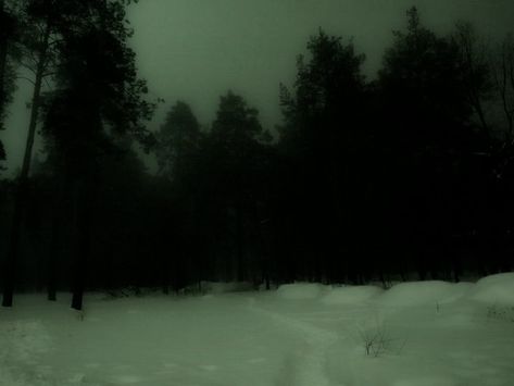 Ethereal Nature, Nature Snow, Dark Naturalism, Snow Night, Gothic Emo, Dark Landscape, Dreamcore Weirdcore, Gloomy Day, Wish You Were Here