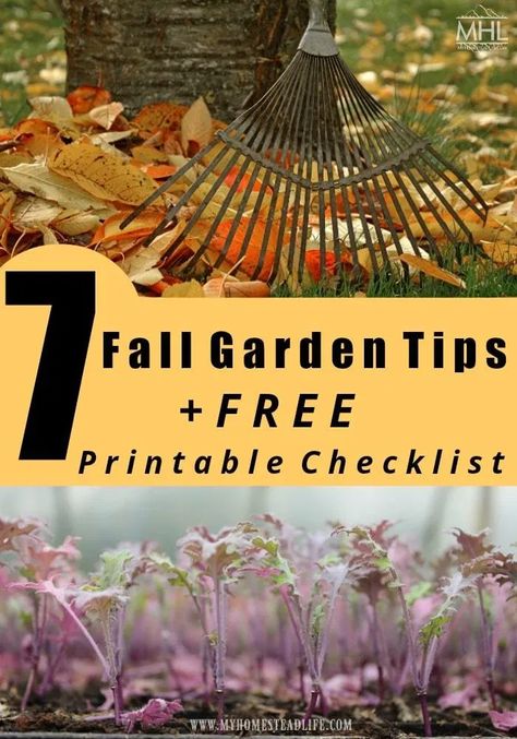 7 Fall Garden Tips + FREE Printable CHECKLIST! - My Homestead Life Fall Garden Preparation, Fall Garden Prep, Garden Preparation, Garden Prepping, Fall Clean Up, Fall Gardening, Homestead Life, Fall Vegetables, Fall Garden Vegetables