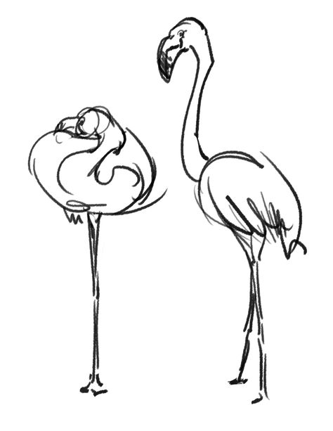 Cute Flamingo Drawing, Flamingos Art Illustration, Flamingo Projects, Flamingo Drawing, Flamingo Graphic, Fancy Flamingo, Illustration Comic, Cute Flamingo, Animation Illustration