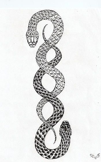 Tattoo Son, Ouroboros Tattoo, Serpent Tattoo, Snake Drawing, Snake Tattoo Design, E Tattoo, Urban Dictionary, Spine Tattoo, Diy Tattoo