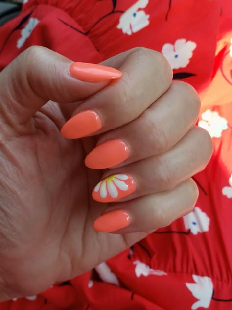 Coral gel nails with half daisy nail art on ring finger Summer Daisy Nails, Nail Designs Ring Finger, Half Flower Nail Design, Orange Daisy Nails, Ring Finger Flower Nail Design, Coral Flower Nails, Bright Daisy Nails, Coral Daisy Nails, Daisy Pink Nails