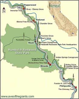 Avenue of the Giants  Map - Surrounded by Humboldt Redwoods State Park, this world-famous scenic drive is by far the most outstanding display of giant trees in the Cali... Avenue Of The Giants, Humboldt Redwoods State Park, Humboldt County California, California Redwoods, Humboldt County, Redwood Tree, California Road Trip, Redwood Forest, California Coastal