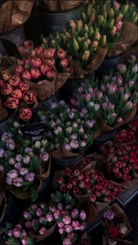 Tulips Wallpaper Aesthetic, Tulips Flowers Aesthetic, Tulip Aesthetic, Iphone Spring Wallpaper, Tulip Wallpaper, Tulips Aesthetic, Tulips Wallpaper, Boquette Flowers, Nothing But Flowers