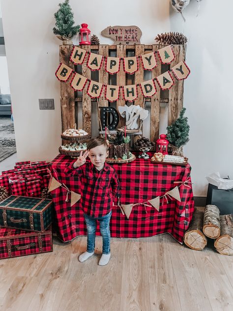 Lumberjack 2nd Birthday Party, Lincoln Log Birthday Party, Cabin Birthday Party Ideas, Lumberjack Birthday Party Decorations, Winter Onderland Birthday, Bonfire Birthday Party, Rustic Christmas Party, Bonfire Birthday, Lumberjack Birthday Party