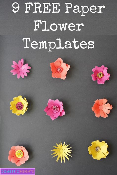 9 FREE Paper Flower Templates, cricut paper flower svg Paper Flower Templates Free Printable, Cricut Boxes, Cricut Flowers, Dino Svg, Crafty Flowers, Free Paper Flower Templates, Paper Flower Templates, Giant Paper Flowers Template, Cardboard Creations