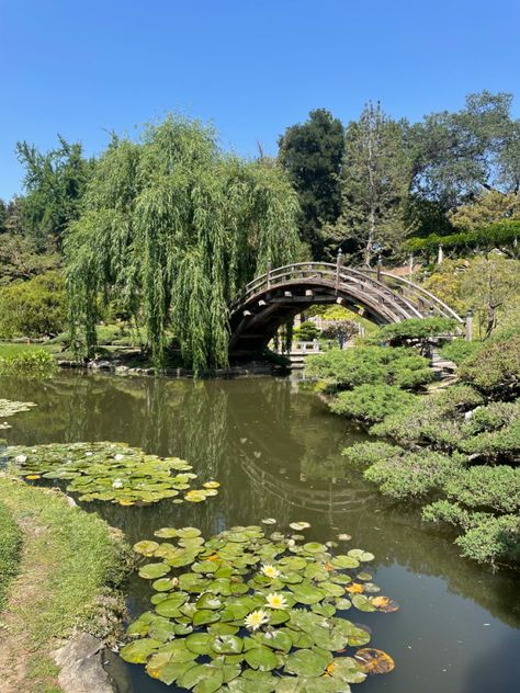 Huntington Gardens Pasadena, Huntington Gardens, Park Photoshoot, Spring Board, Adventure Island, Huntington Park, Spring Boards, River Photography, Chinese Garden