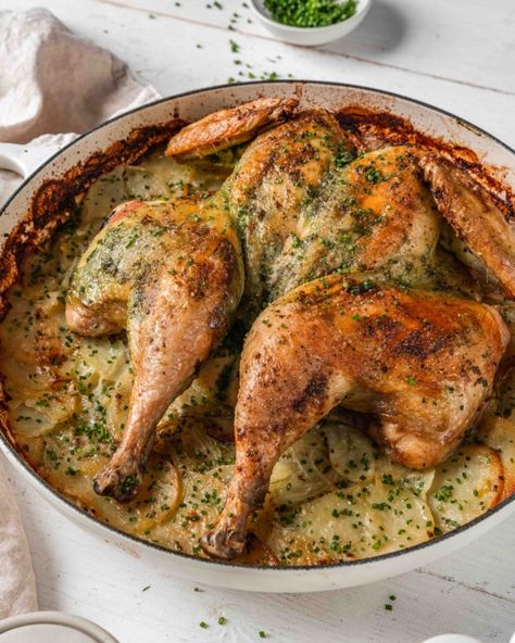 This easy to make Schmaltzy Roast Spatchcock Chicken features all the trimmings: delicious chicken and potatoes in a herbed cream sauce. Sunday Roast Dinner, Roast Chicken Dinner, Layered Potato, Spatchcock Chicken, Whole Chicken Recipes, Chicken And Potatoes, Creamed Potatoes, Roast Dinner, Scalloped Potatoes