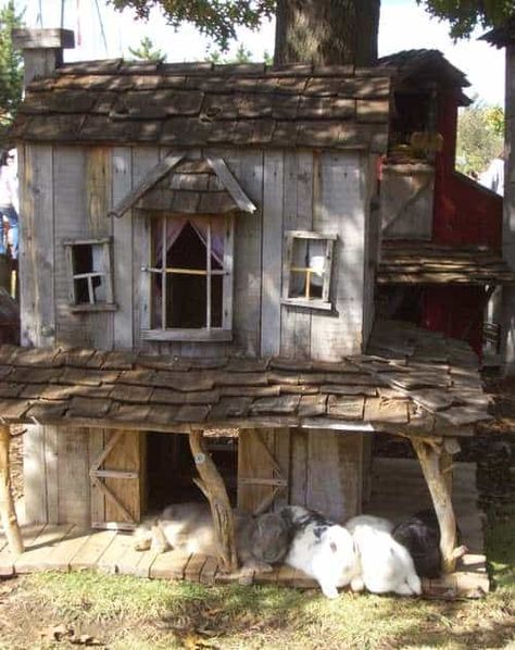 We often see pallet chicken coops but not so often rabbits houses! And especially this one that is close to what you can find in fairy tales!   Here are several examples of what you can make! The other one is more functional since it also has a hinged roof so the bedroom partitions can be... #Garden, #House, #PalletHut, #Rabbit #AnimalPalletHousesPalletSupplies Chicken Coop Pallets, Bunny Hutch, Rabbit House, Roof Ideas, Rabbit Cages, Bunny Cages, Rabbit Cage, Building A Chicken Coop, Bunny House