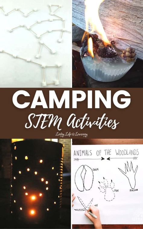 Camping Stem Activities For Preschool, Camping Experiments For Kids, Camping Homeschool Activities, Camping Steam Activities, Camping Themed Stem Activities, Camping Ideas For Classroom, Camping School Activities, Campfire Activities For Kids, Camping Science Experiments For Kids