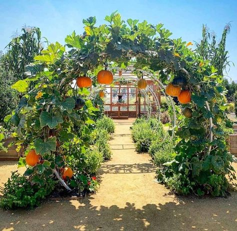 Moon Arch Garden, Gated Garden Ideas, How To Make A Moon Gate, Moon Gate Diy, Moon Gate Garden, Moongate Garden, Veg Growing, Garden Gate Ideas, Moon Gates