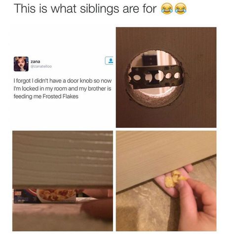 Sibling Memes, Growing Up With Siblings, Memes Humor, What’s Going On, Funny Pins, Tumblr Posts, Funny Posts, Funny Photos, Funny Cute