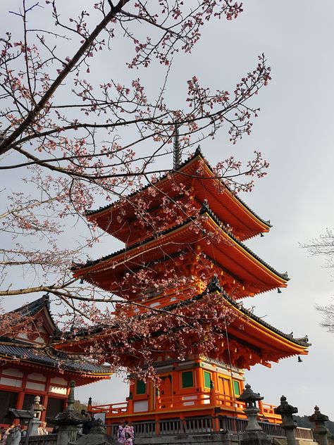 Kiyomizu-dera, one of the must-visit temple in Kyoto (Japan) Gion Kyoto, Kyoto Kiyomizudera, Kyoto Temple, Kiyomizu Temple, Kiyomizudera Temple Kyoto Japan, Otagi Nenbutsu-ji Temple, Kiyomizu Dera, Kiyomizu-dera Temple, Goddess Of Mercy